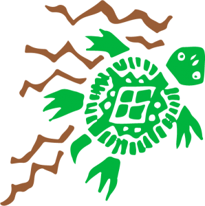 JEP6_turtle